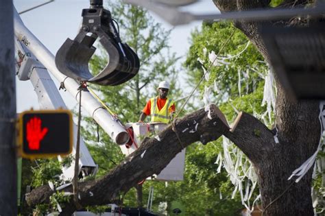 al poisoning auburn tree radio|auburn oak tree poisoning.